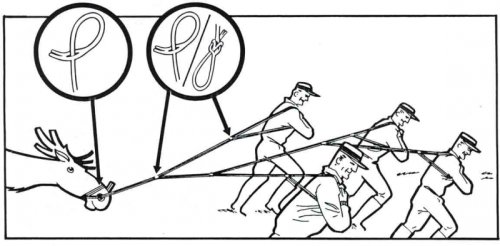 Runlock Jaktset