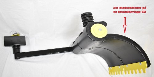 Bladsektion 50B