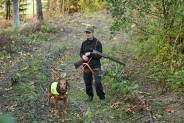  Runlock Hunting leash Orange / Black 